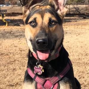 Meet your Posher, Jacquelyn